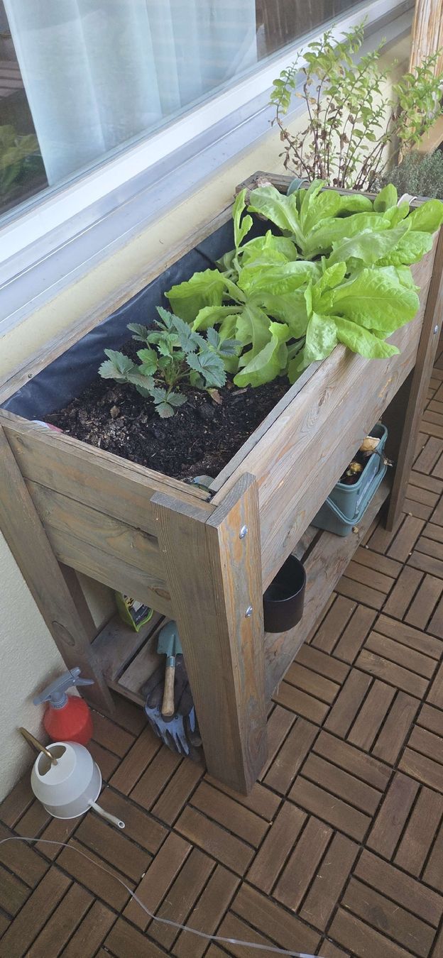 Box contenitori: Holz Hochbeet – Usato da Steffisburg venduto da Ni_c95 1
