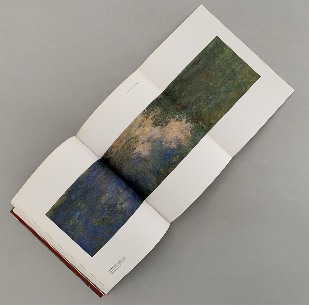 Libri: Internationale Kunst - Illustrierte Bücher - Claude Monet – Nuovo (secondo la descrizione) da Düdingen venduto da polytropon_5 2