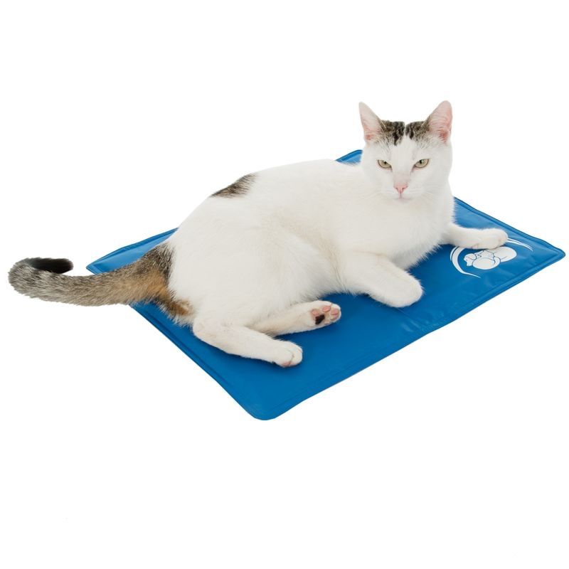 Tappetini fitness: Hunde- oder Katzenkühlmatte – Nuovo e nell'imballaggio originale da Aedermannsdorf venduto da Molinero_ 2