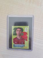 Panini WM 26 Rinaldo