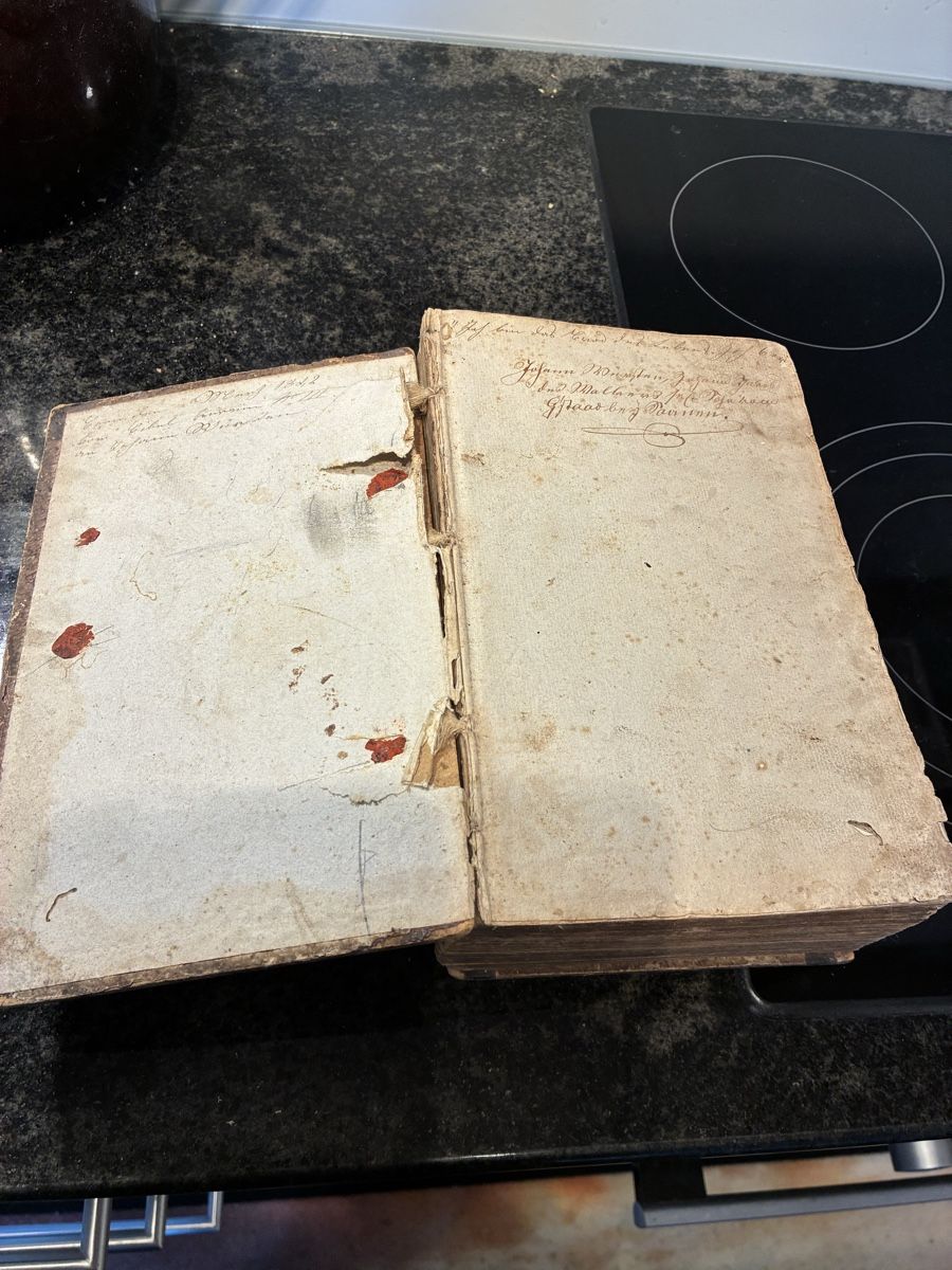 Libri: Die Bibel - Heilige Schrift – Usato da Belp venduto da Hornusser54 2