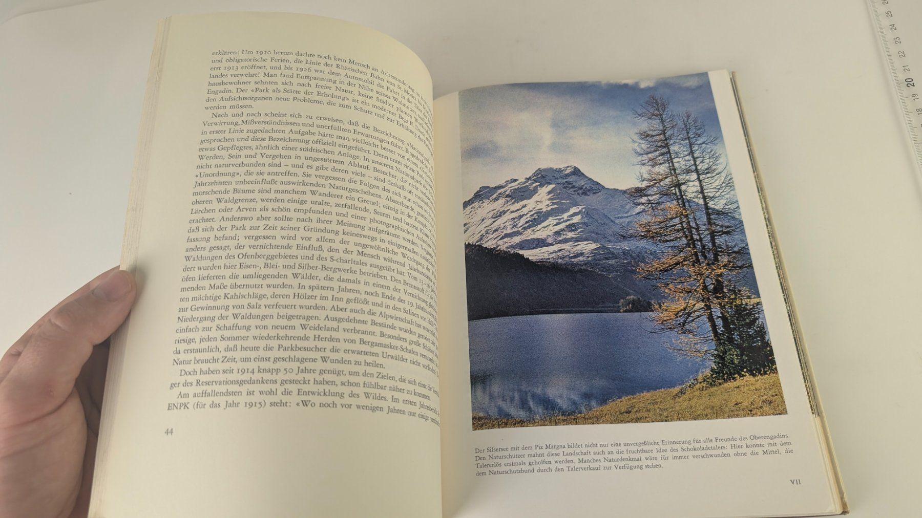 Libri: Schweizer Heimatbücher: Schweizer Naturschutz 1960 – Usato da Zürich venduto da axolottchen 8
