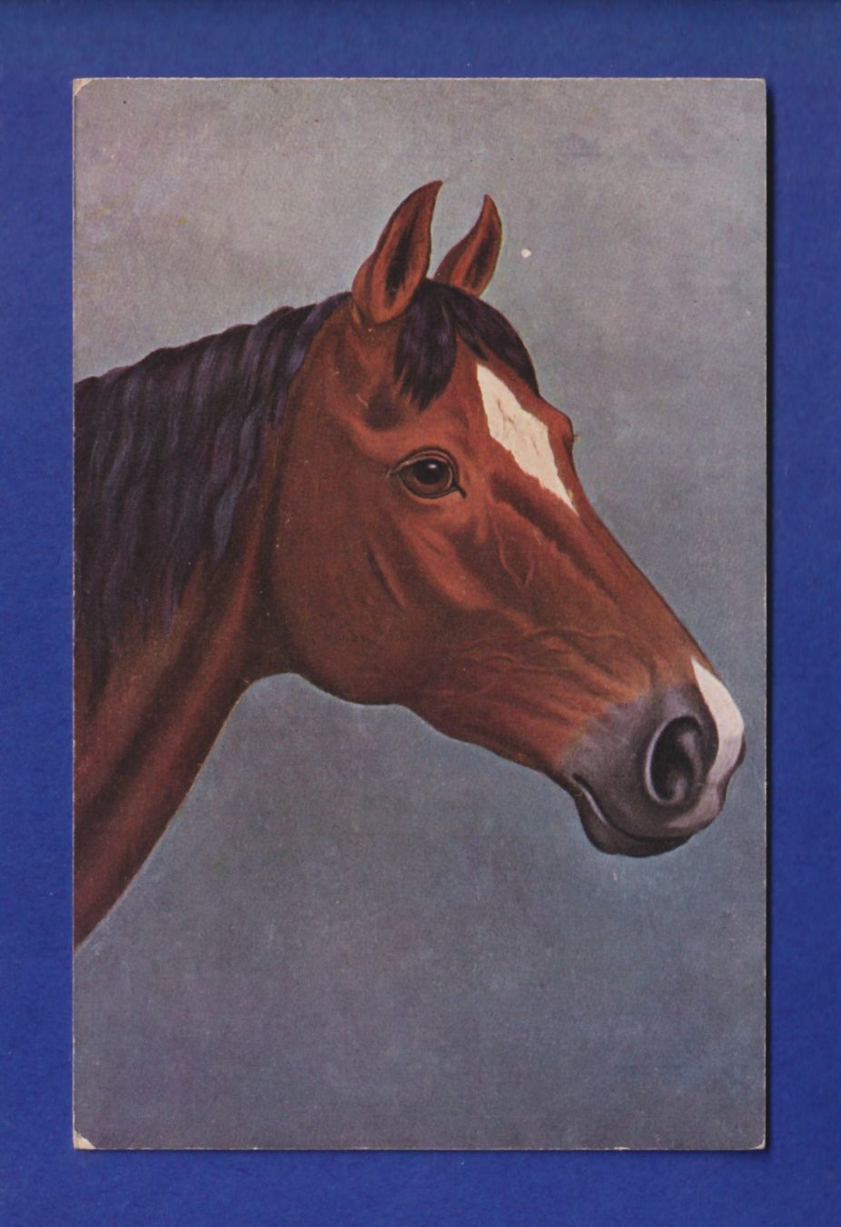 Ansichtskarten: CHEVAL / PFERD – Gebraucht aus Pully von nicecards-shop