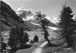Im rossegtal Pontresina G
