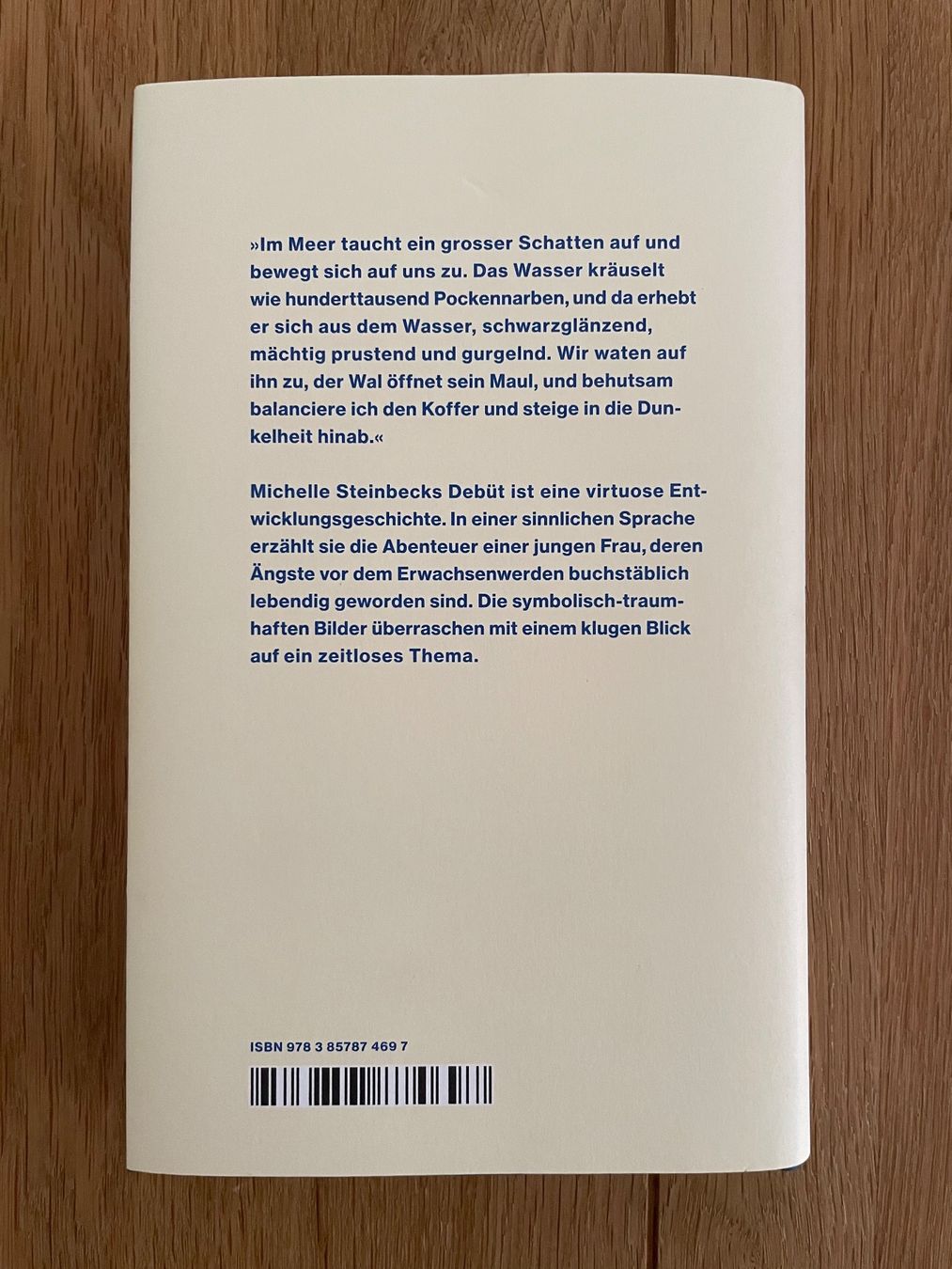 Bücher: Buch/Roman von Michelle Steinbeck – Gebraucht aus Bern von kat_sm88 1