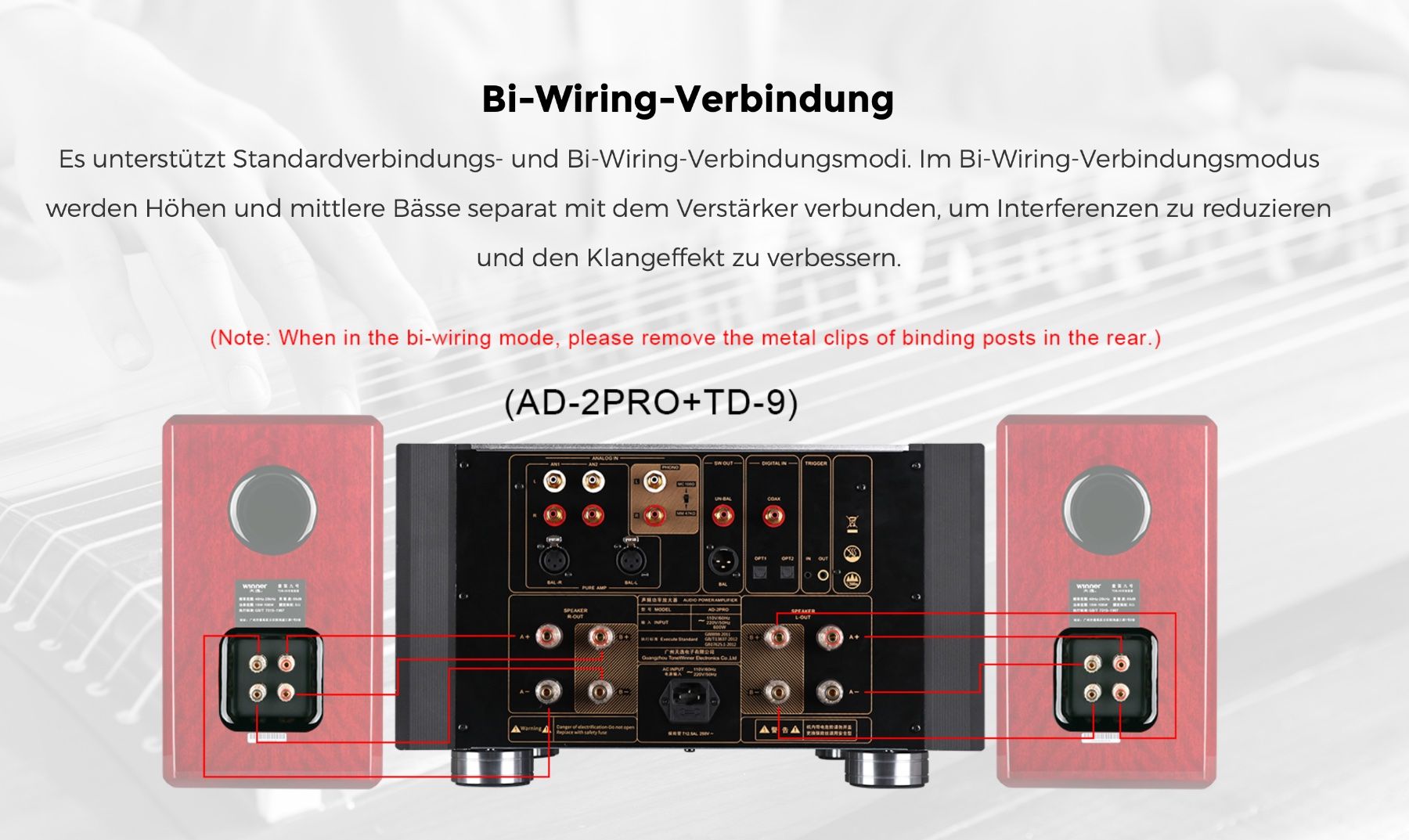 Amplificatori: Verstärker Class A - ToneWinner AD-2PRO – Nuovo e nell'imballaggio originale da Rosshäusern venduto da HighendSolutions 5