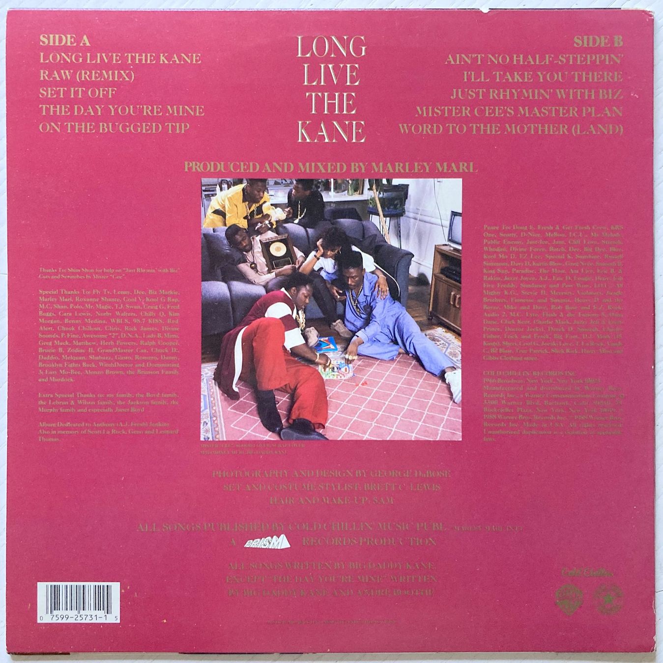 Dischi in vinile: BIG DADDY KANE - LONG LIVE THE KANE – Usato da Bottens venduto da hotter-than-hell 1