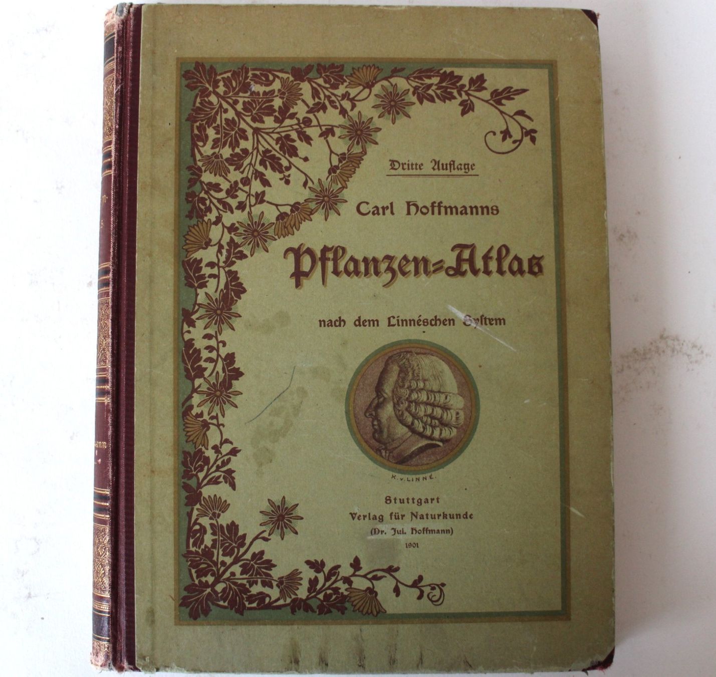 Bücher: PFLANZEN ATLAS 1901 von CARL HOFFMANN – Gebraucht aus Luzern von  2