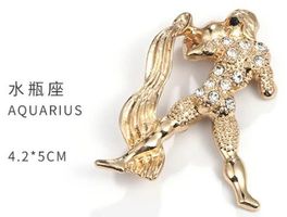 Brosche C-730G – Wassermann Sternzeichen – Strass – 4,2x5 cm