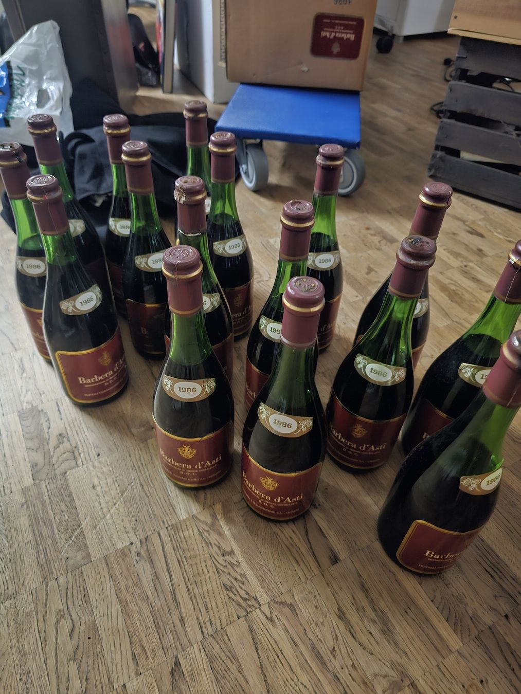Vino: Barbera d'Asti 1986 Flaschen 16 Stk – Usato da Aeugstertal venduto da Levo84 1