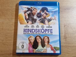 Kindsköpfe (2010) RAR Bluray