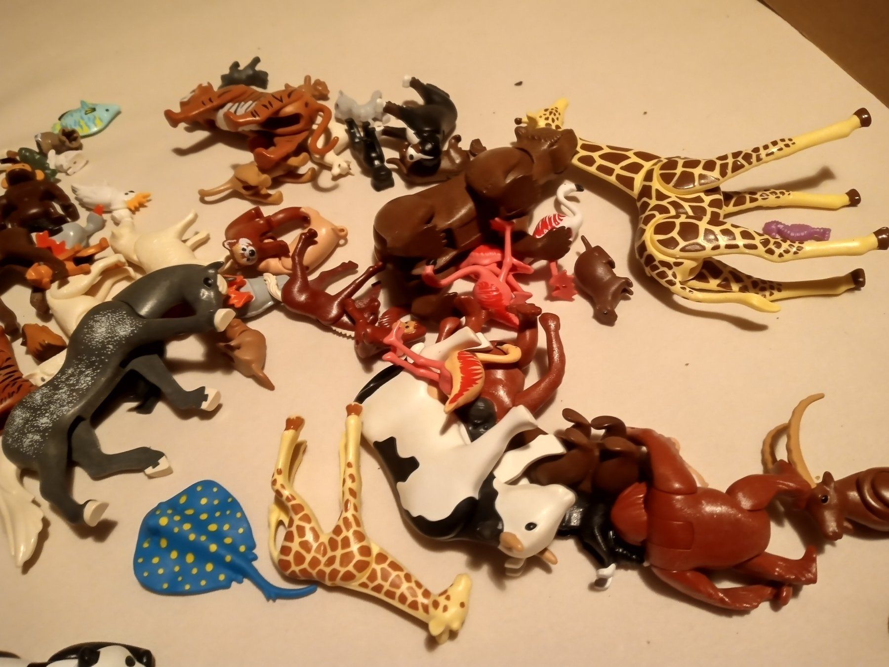 Playmobil Giocattoli: Playmobil Tiere – Usato da Prez-vers-Siviriez venduto da Monija70 2