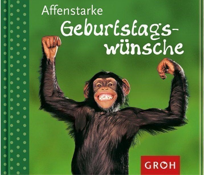 Fumetti: komisch Geburtstagswünsche Buch – Nuovo (secondo la descrizione) da Stäfa venduto da a9uzel