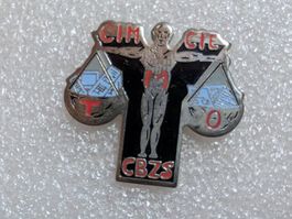 Ansteckpin 260: CIM