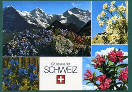 Gruss aus der Schweiz, Mehrbilderkarte, ungelaufen