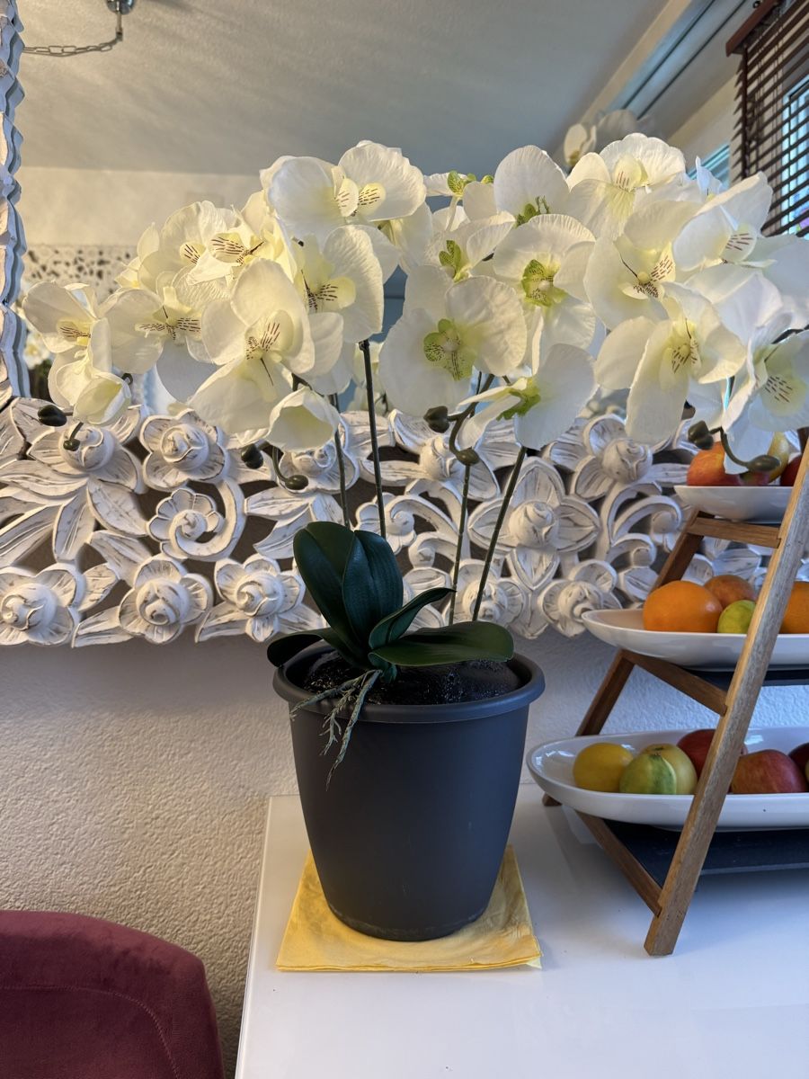Alle Dekorationen: Künstliche Orchideen weis, New – Neu (gemäss Beschreibung) aus Zürich von Privat4444 2