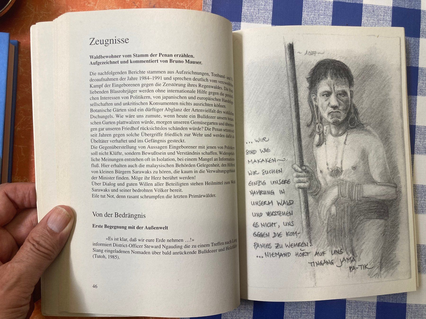 Bücher: Bruno Manser - Stimmen aus dem Regenwald – Gebraucht aus Richterswil von Nathan_adler 4