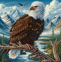 Diamond Painting: Schneeweisse Adler 30x30cm