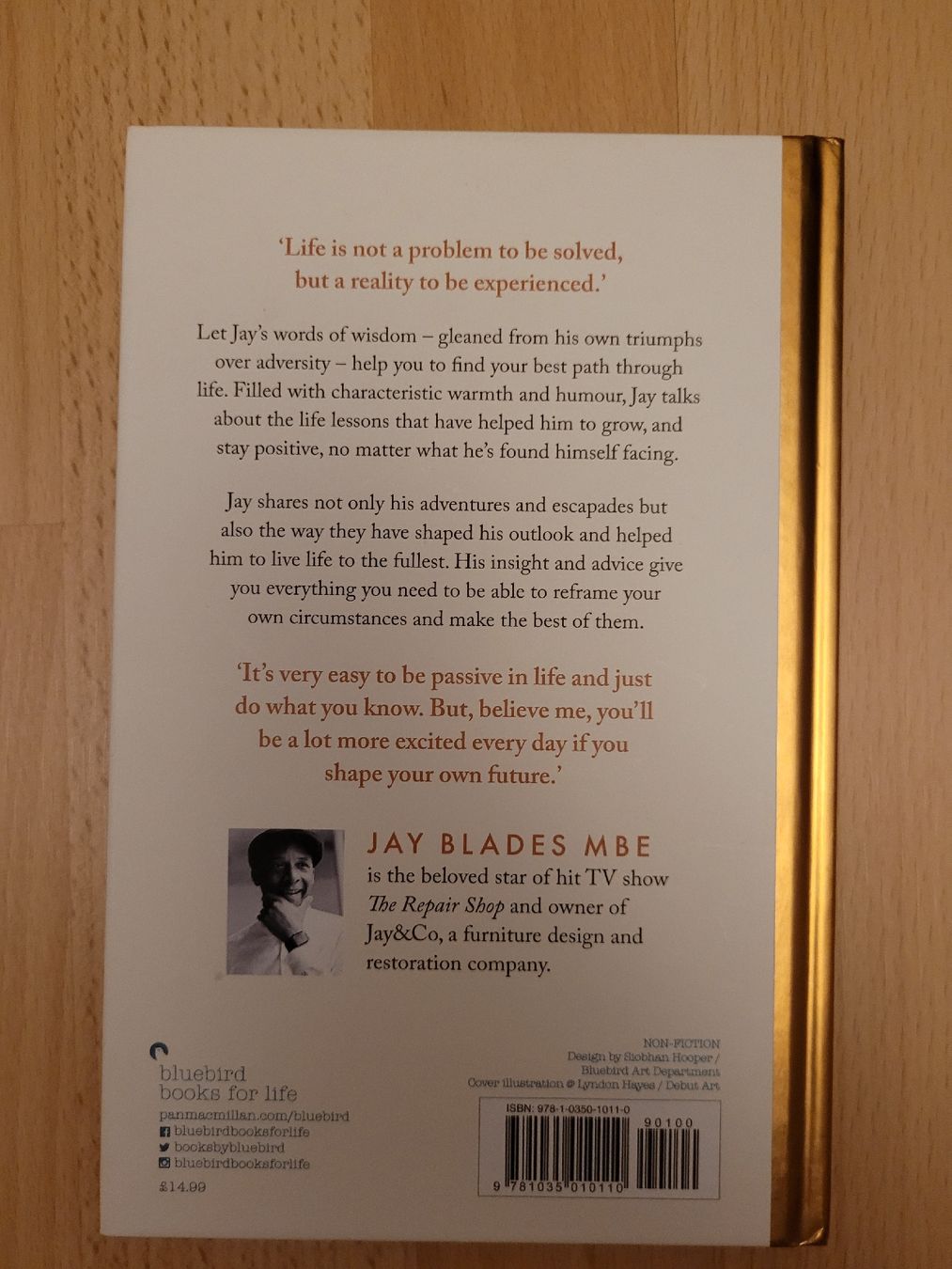 Bücher: Jay Blades - Life Lessons - Top Zustand – Gebraucht aus Perlen von Safari_23 1