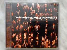 Pain - Pain album Rare!