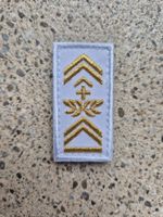 *** Gradabzeichen Hauptadjutant Taz Soldat mit klett ***