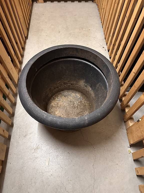 Pots de fleurs: Pflanzkübel – D'occasion à Uetikon am See par ano_mnw7 1