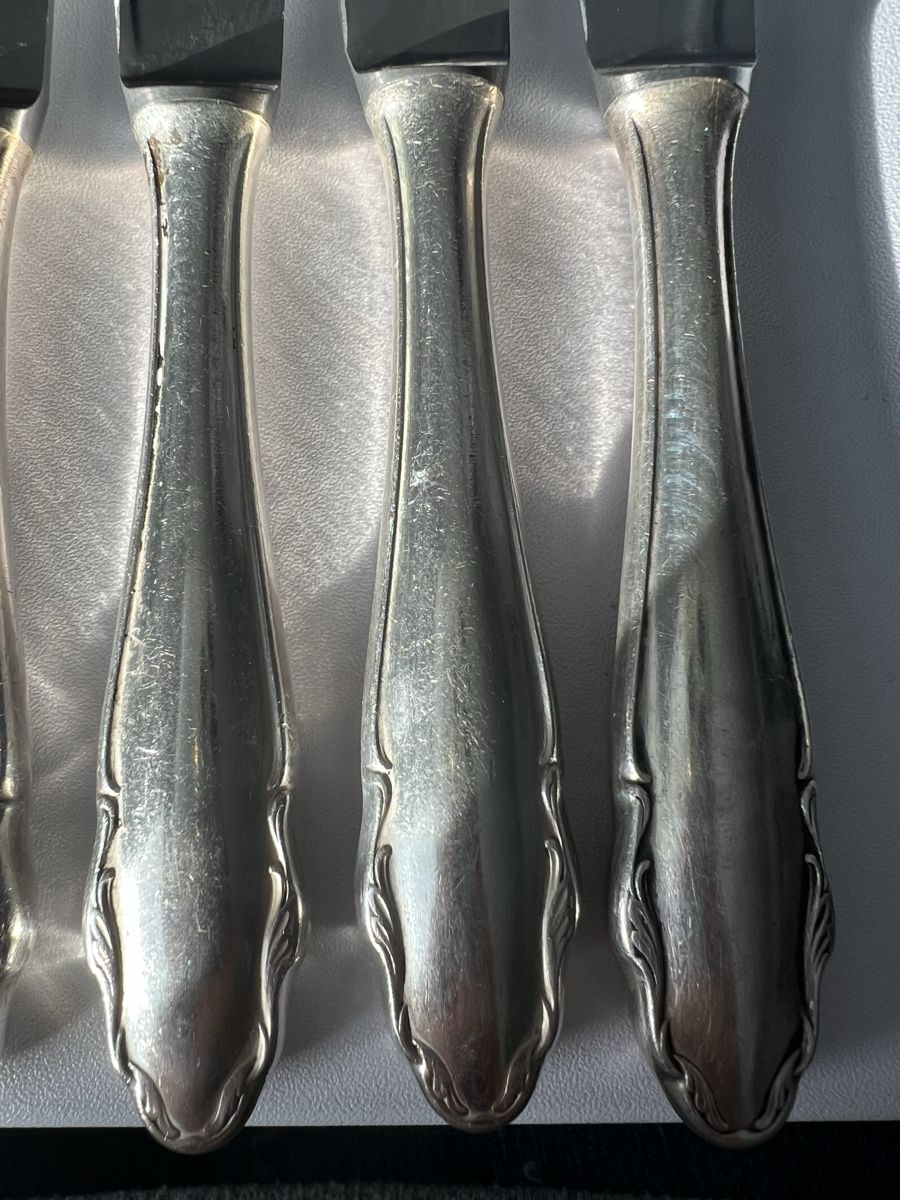 WMF Coltelli: WMF Friodur Steakmesser Set, 5-teilig – Usato da Bern venduto da lin_5qtq 2