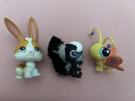 x3 Littlest Pet Shop (75 + 641 + 497)