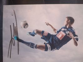 Alain Wiss - FC Luzern ⚽ - FCL Saison 2014/15