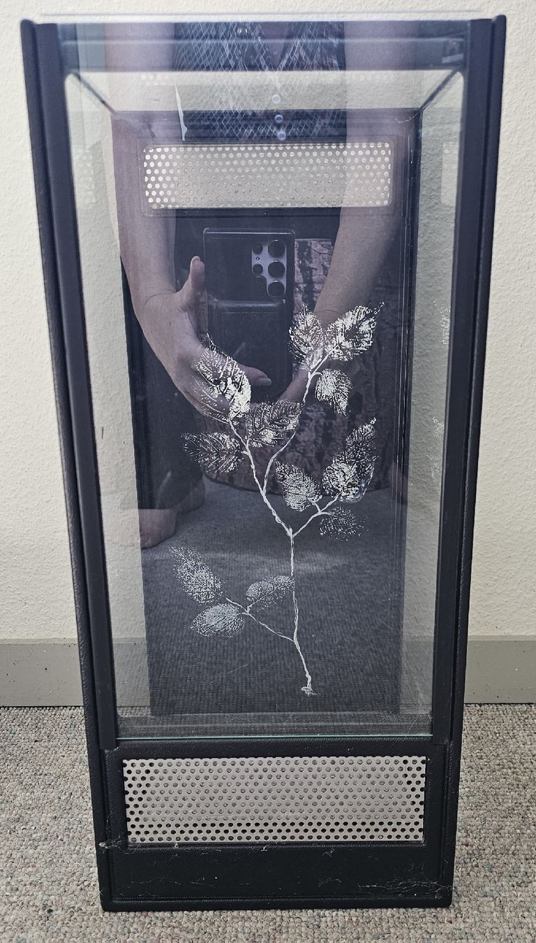 Terrarium: Spinnen oder Insekten-Terrarium – Neu (gemäss Beschreibung) aus Wangen b. Olten von ErikaK06 3