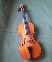 Geige 1/4 Violine Kinder