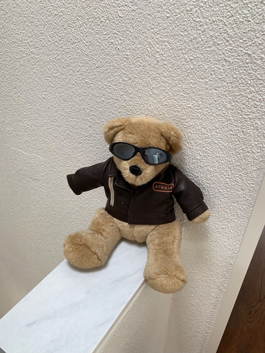 Il mondo degli animali: Plüsch-Teddybär – Usato da Kerns venduto da Kaefer2003