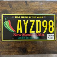 🇺🇸 U.S. Autoschild - New Mexico AYZD98 - ORIGINAL