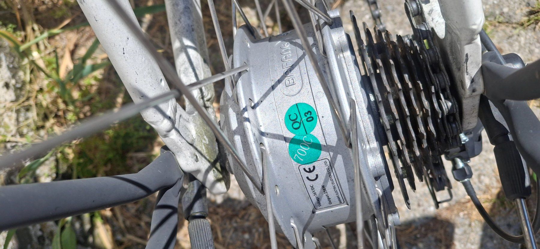 Leopard Velos: E bike Leopard – Defekt aus Kyburg von JBMNT2020 2