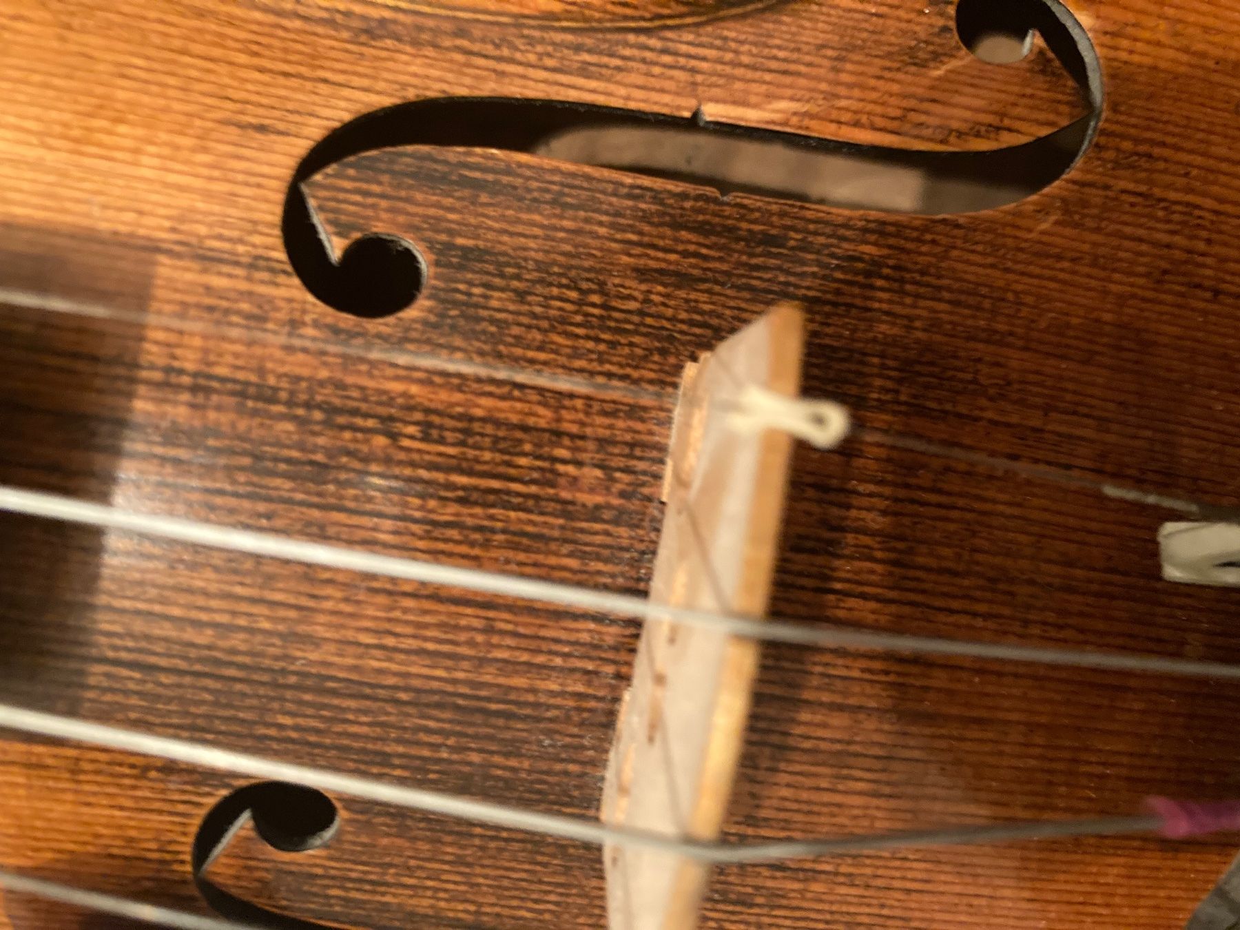 Strumenti musicali: Violine guterhalten – Usato da Rüti ZH venduto da coccinelle88 4