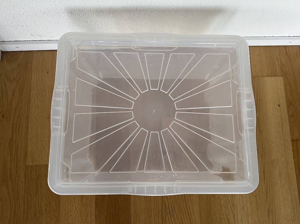 Casse di trasporto: Aufbewahrungbox mit Deckel – Usato da Bern venduto da mon_2lbl 2