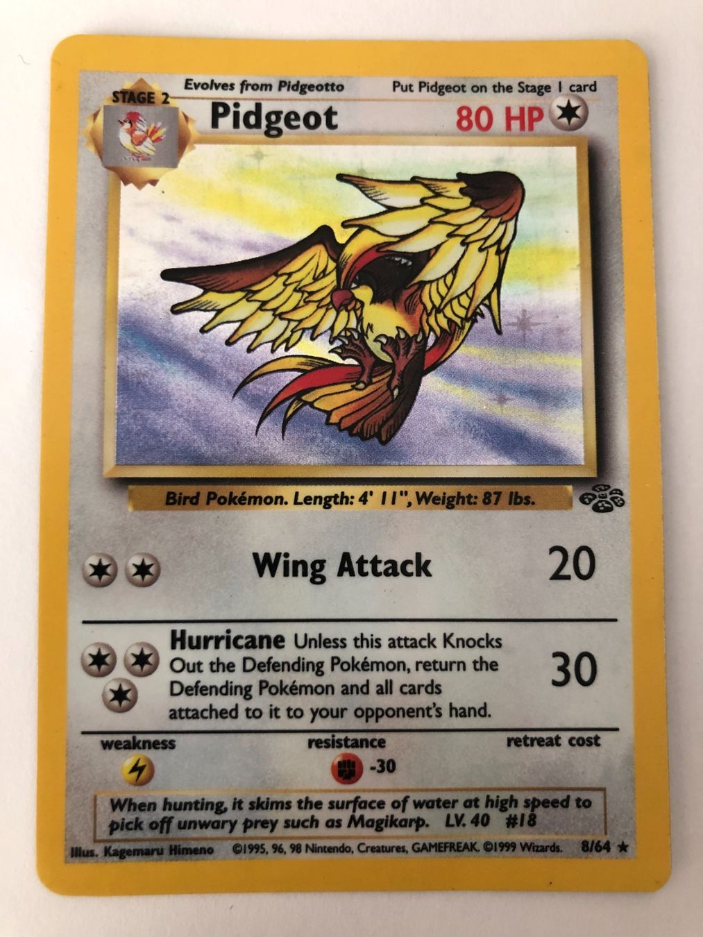 Pokémon Carte collezionabili: Pidgeot - Holo - Jungle - Pokemon – Usato da Nussbaumen AG venduto da Bika-Shop
