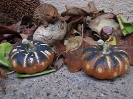2 tolle Dekokürbisse für tolle Herbstdekoration - Terrakotta