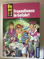 Die drei !!! Freundinnen in Gefahr!