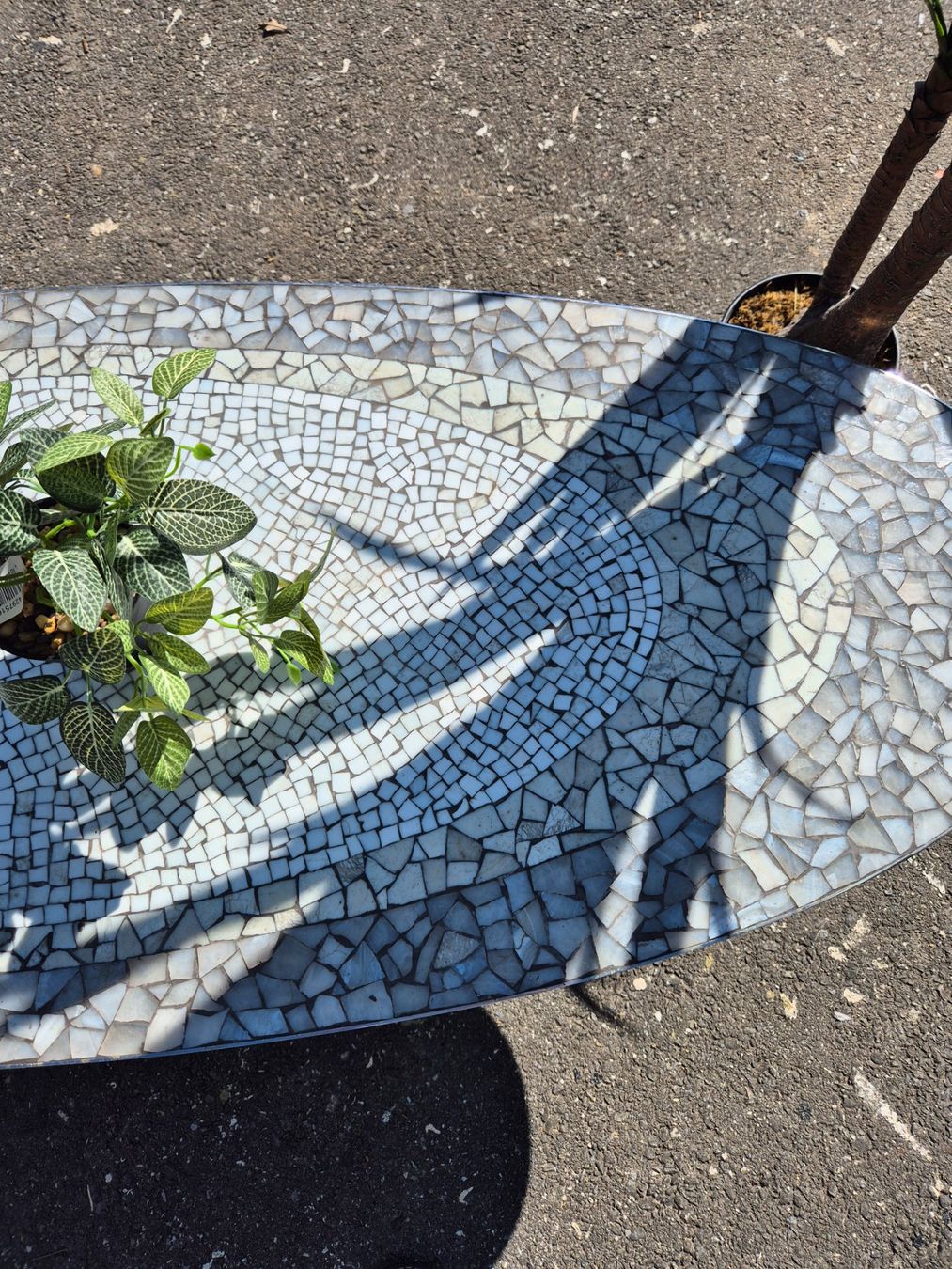 Tische: Table basse mosaïque années 1950 – Gebraucht aus Fribourg von tameab 3