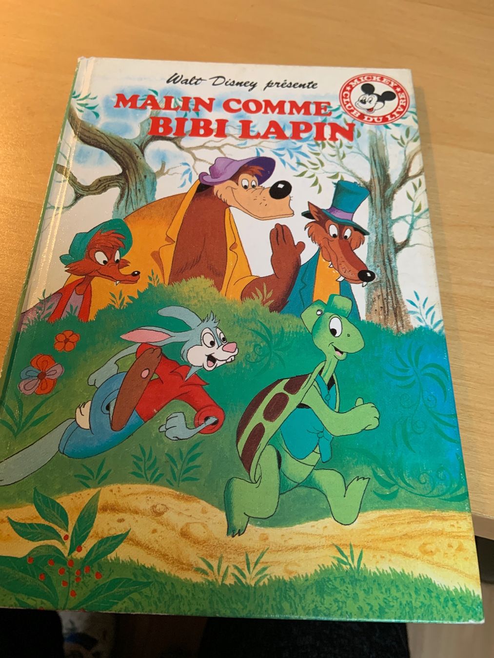Libri: Livre enfants – Usato da Ecublens VD venduto da timily