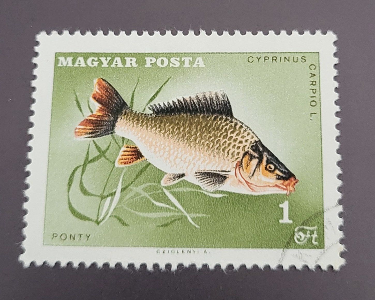 Tutti i francobolli: Ungarn 1967 briefmarke – Usato da St Gallen venduto da Stampsalshobby
