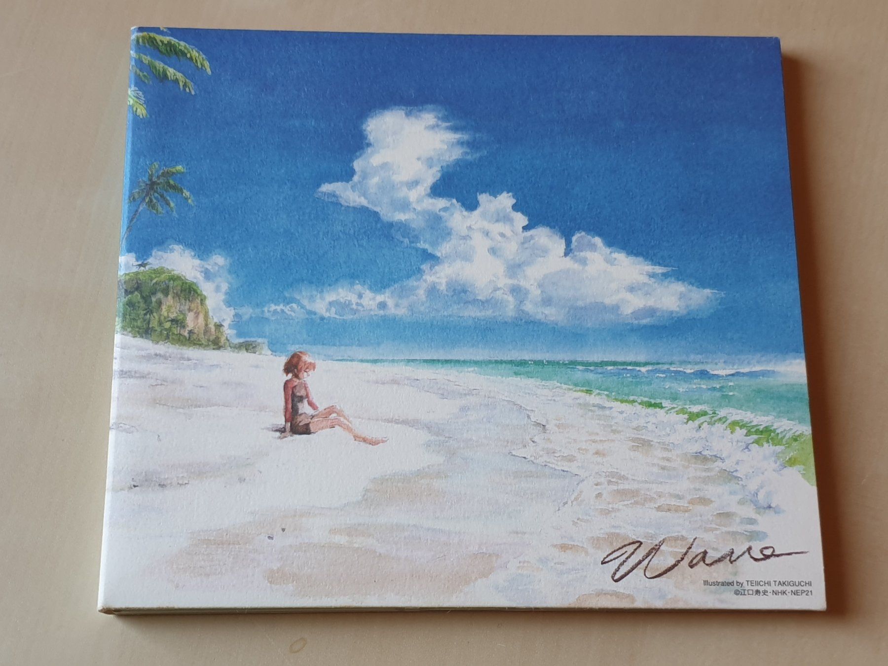 CDs: Mujin Wakusei Survive Wave – Gebraucht aus Stansstad von collectorsshop