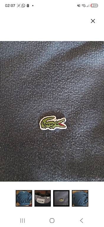 Maglioni & Felpe: Lacoste Sweatshirt blau – Usato da Enggistein venduto da sar_b8hz 1