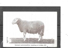 SG St.Gallen 1907 Kantonale landwirtschaftliche Ausstellung