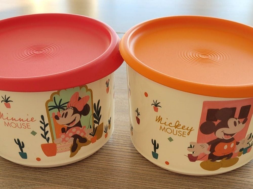 Lot De 2 Boîtes De Conservation Tupperware Eco+ - Vert Anis Et Rose, Neuves Avec Couvercles