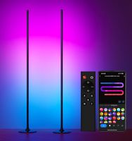 LED Stehlampe 2er Set RGB dimmbar mit Fernbedienung