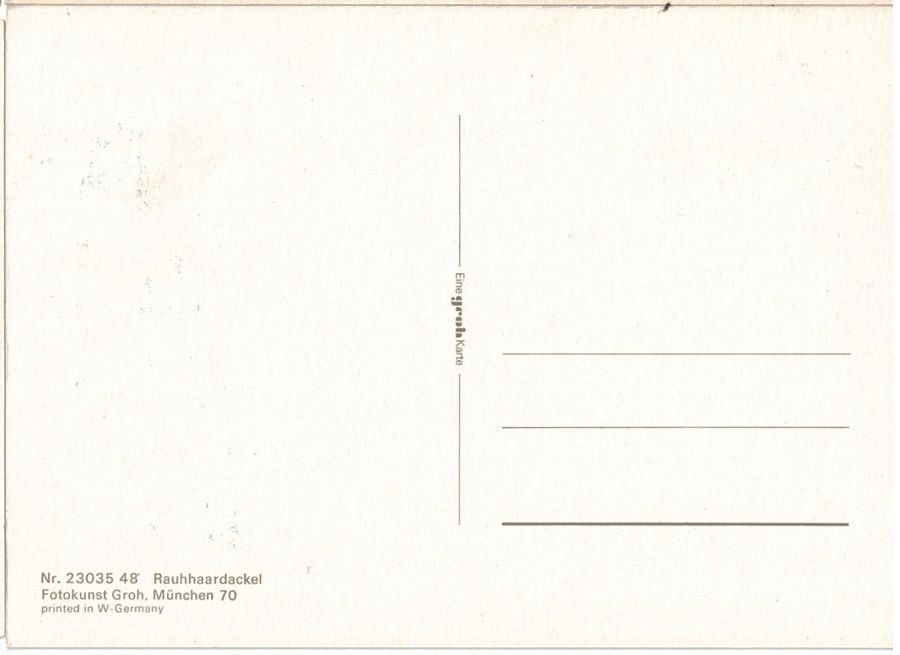 Cartoline postali: Rauhhaardackel, geschätzt 1975 – Usato da Frauenfeld venduto da POML 1
