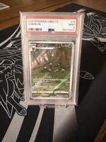 Pokémon Umbreon CBB2 Chinese PSA 9 Near Mint 