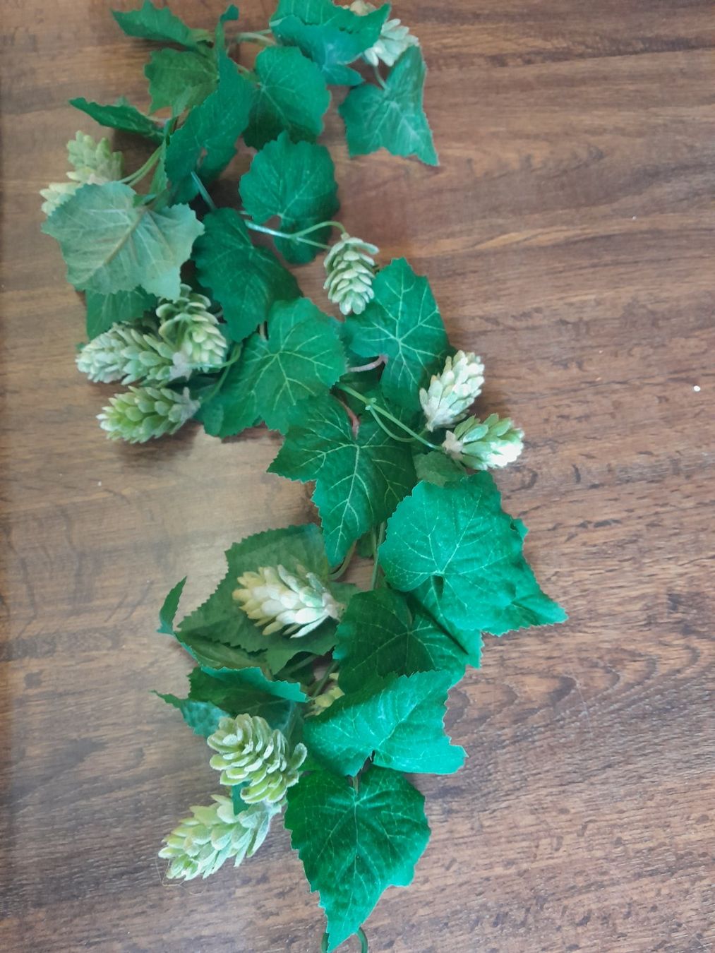 Plantes & graines: Hopfenpflanzen Kunststoff – D'occasion à St.Gallen par Stocken64 2